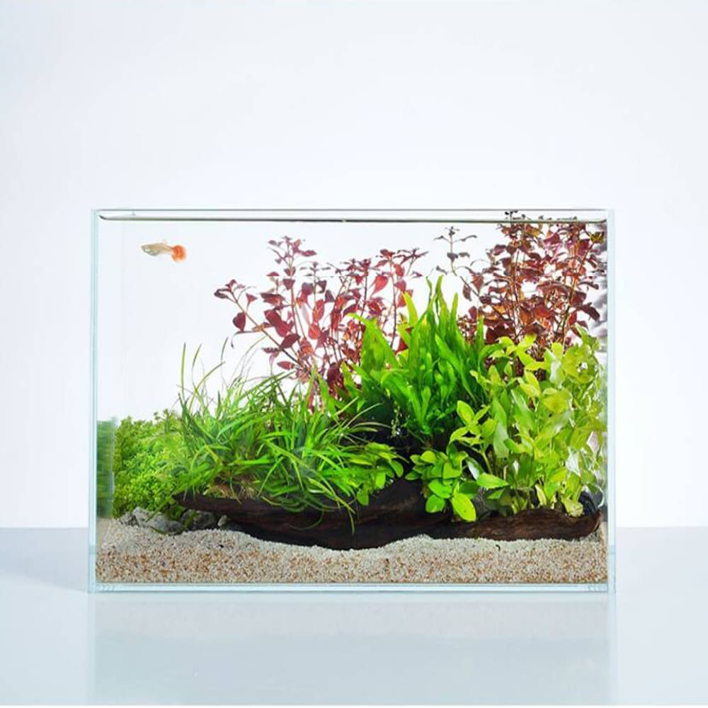 Aquarium ultra-white glass fish tank