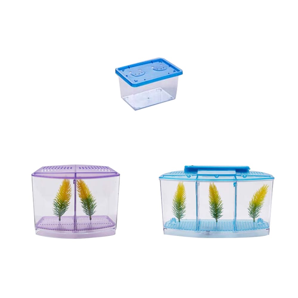 aquarium betta box