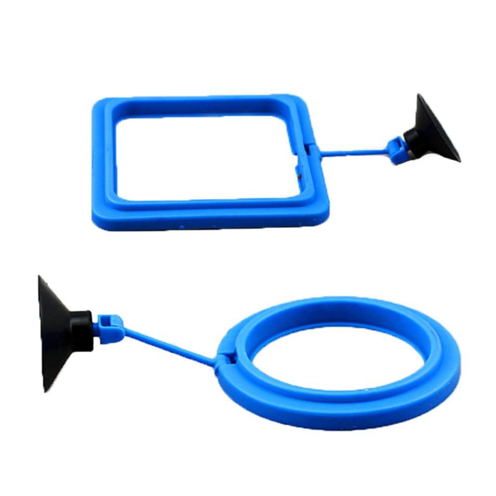 Aquarium feeding ring