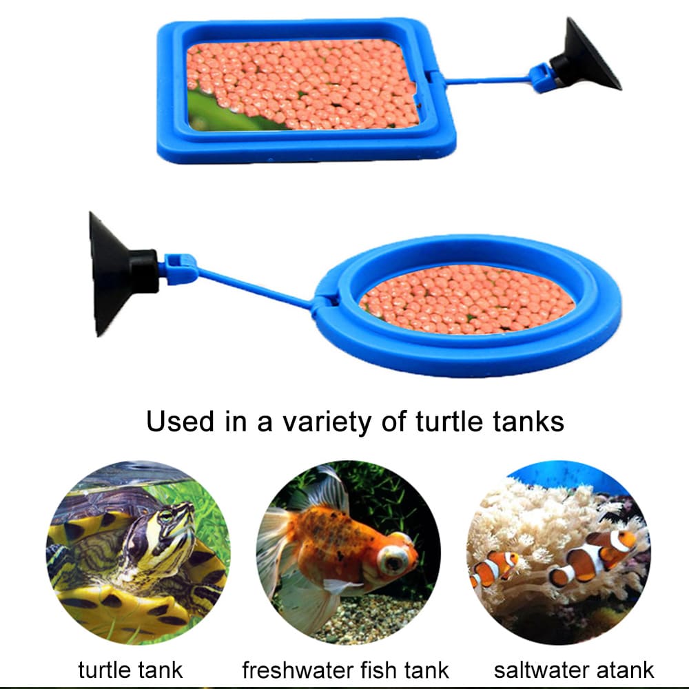 Aquarium feeding ring