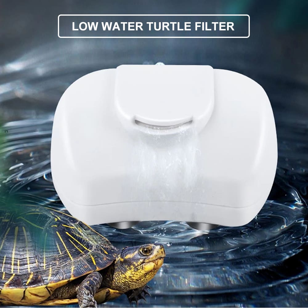 best water filter for fish tank