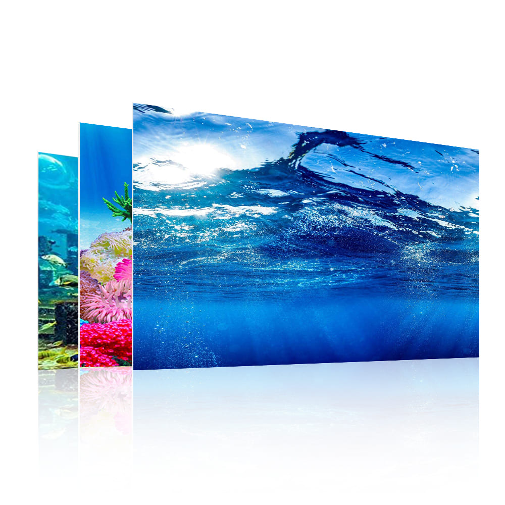 aquarium decorative fish tank background picture single side