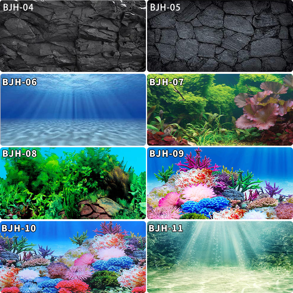 aquarium decorative fish tank background picture single side