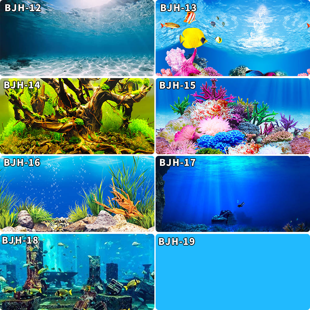 aquarium decorative fish tank background picture single side
