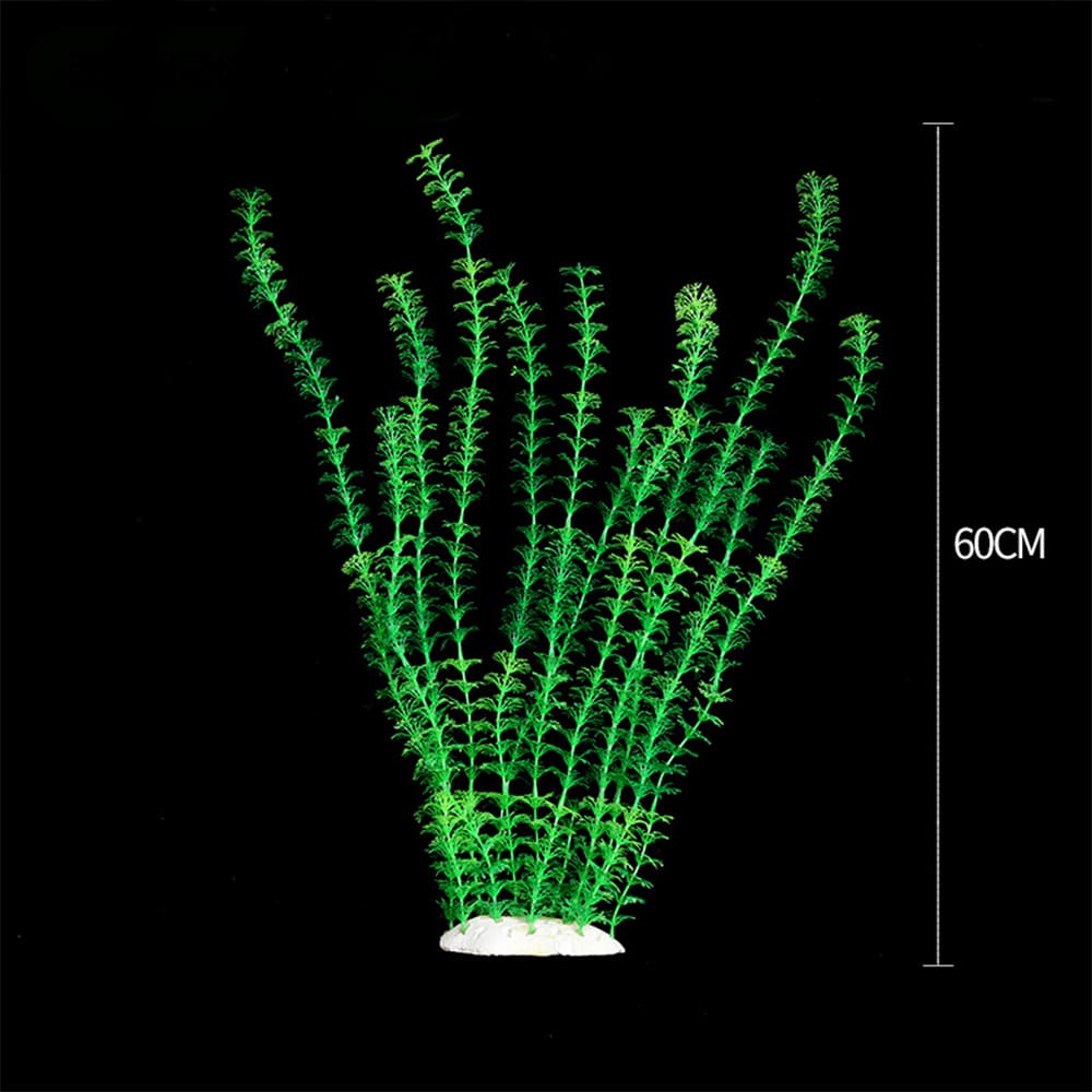 fish tank realistic aquarium plants