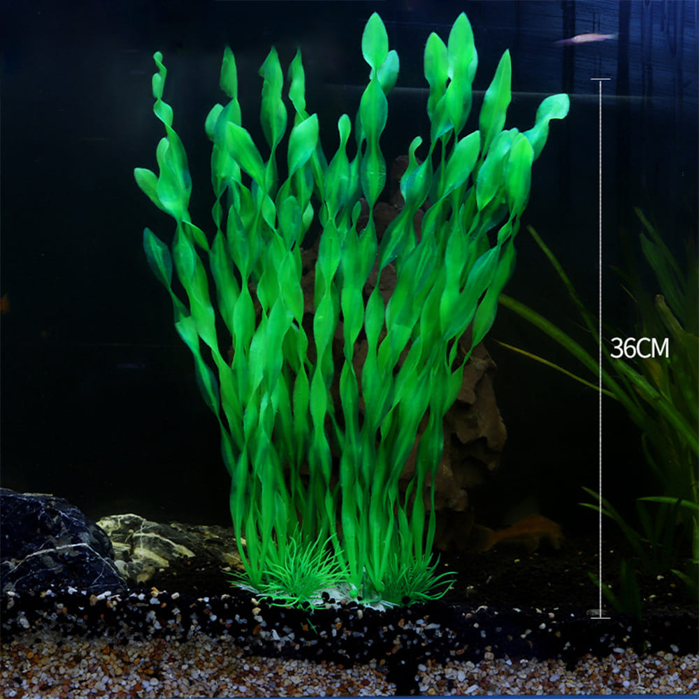 fish tank realistic aquarium plants