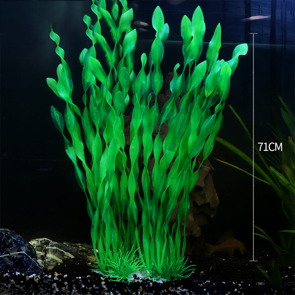 fish tank realistic aquarium plants
