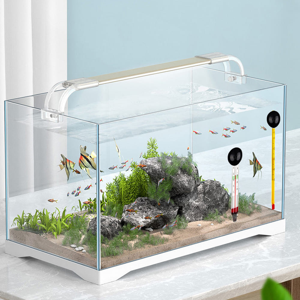 aquarium glass thermometer