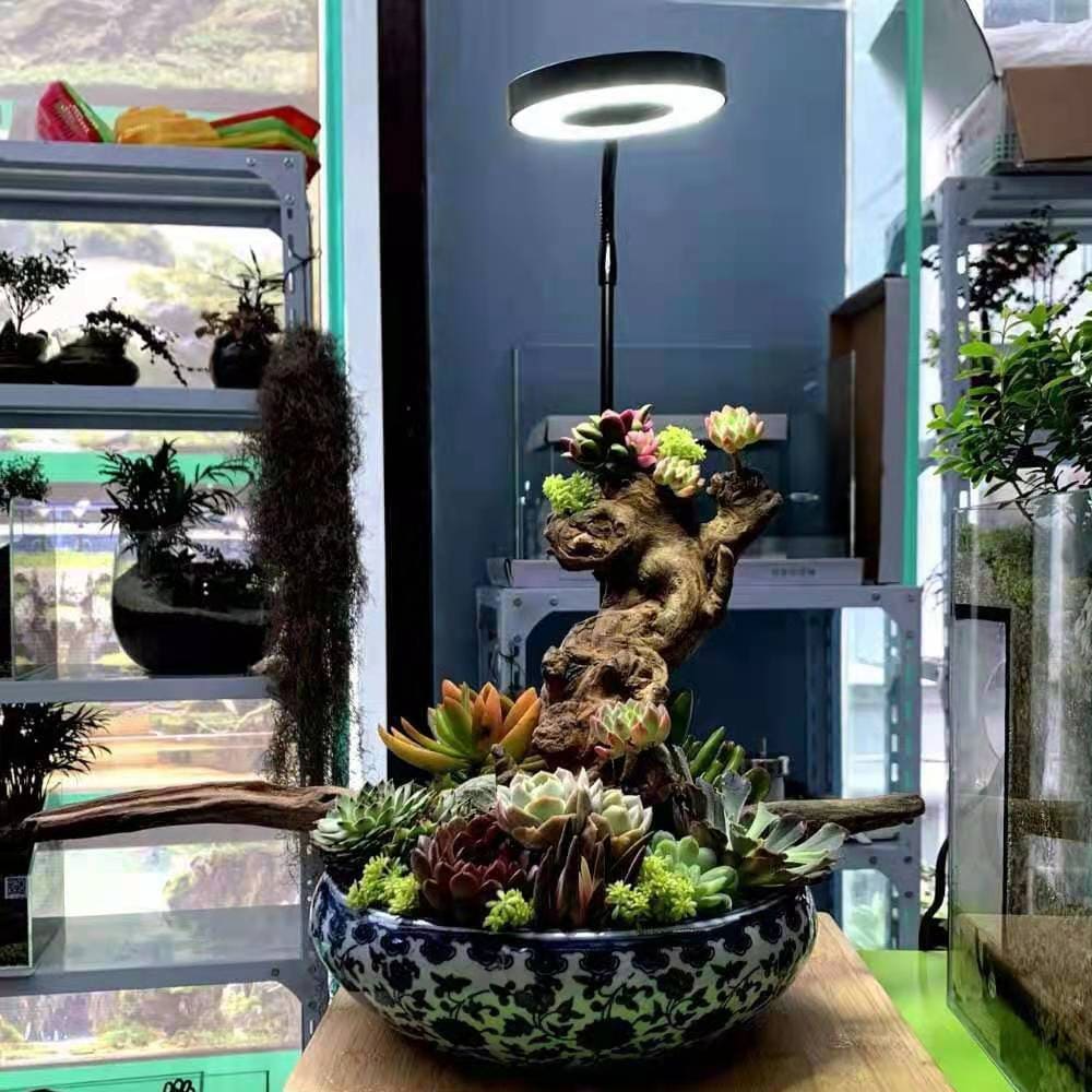 Round  aquarium tank clip light