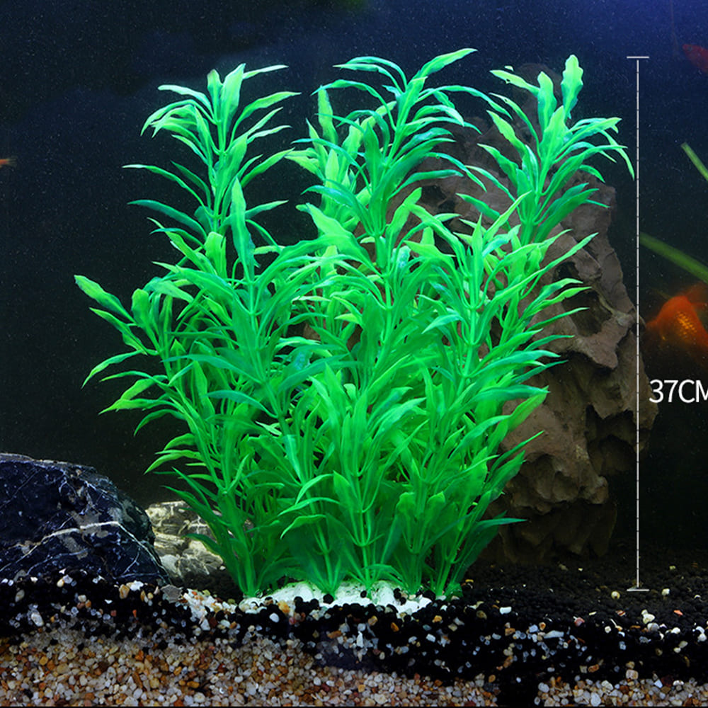 fish tank realistic aquarium plants
