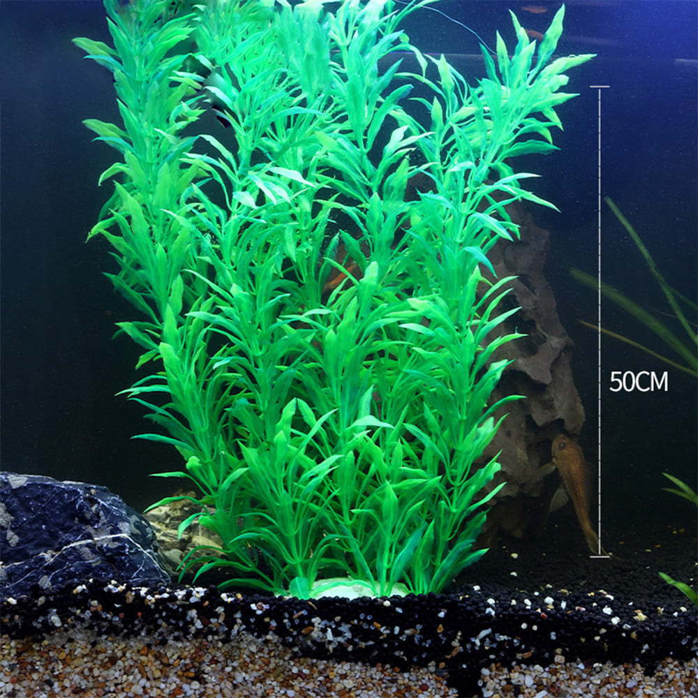 fish tank realistic aquarium plants
