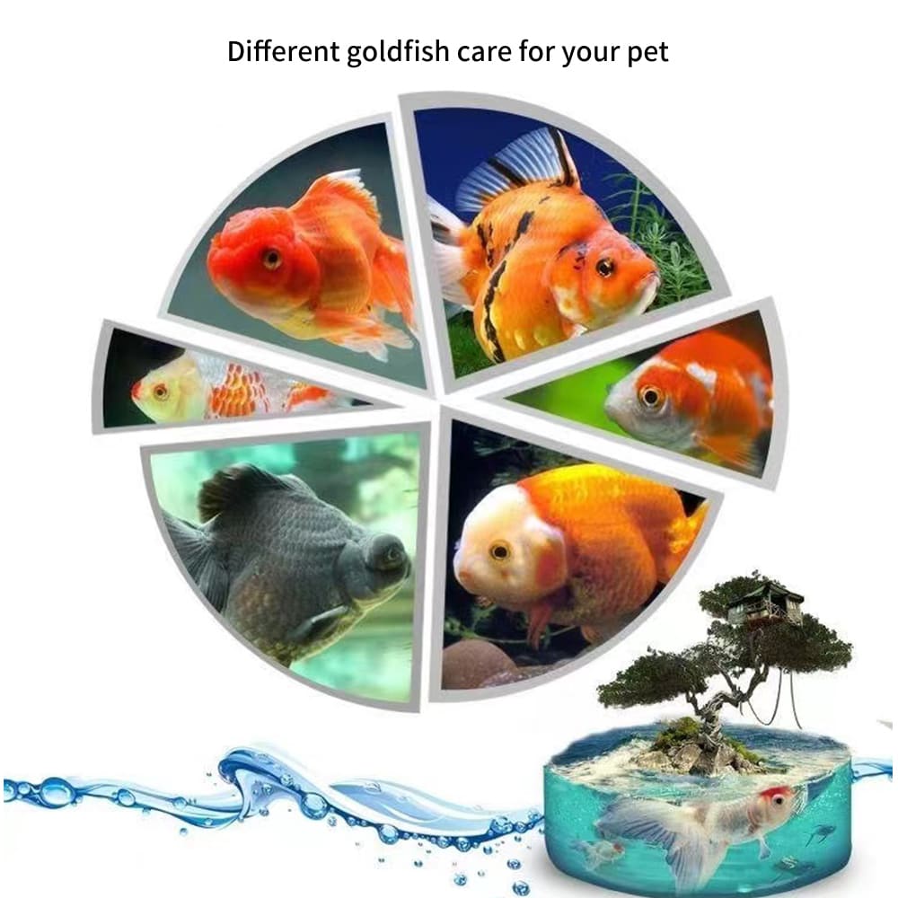 transparent turtle box feeding box